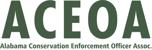 ACEOA logo