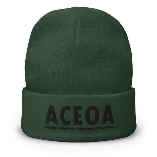 Embroidered Beanie